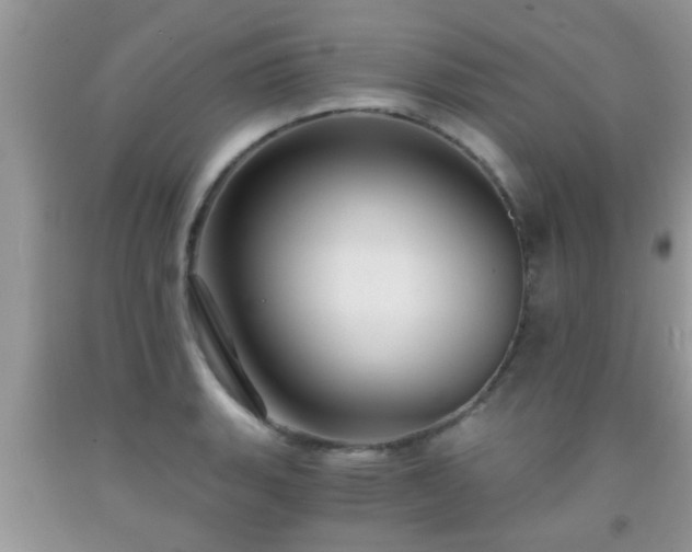 X0000092041135200709191055