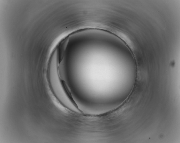 X0000092041136200709191055