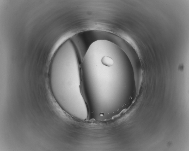 X0000092041138200709191055