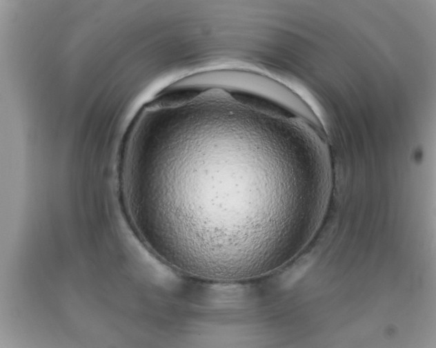 X0000092041142200709191055