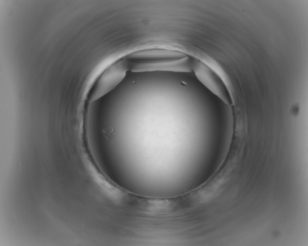 X0000092041144200709191055