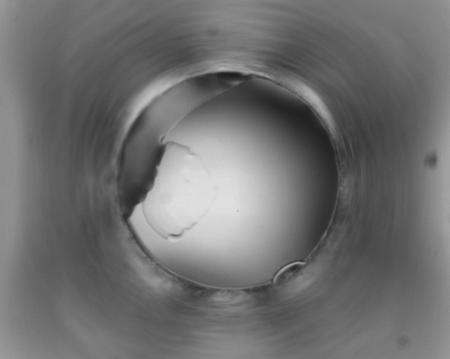 X0000092041146200709191055