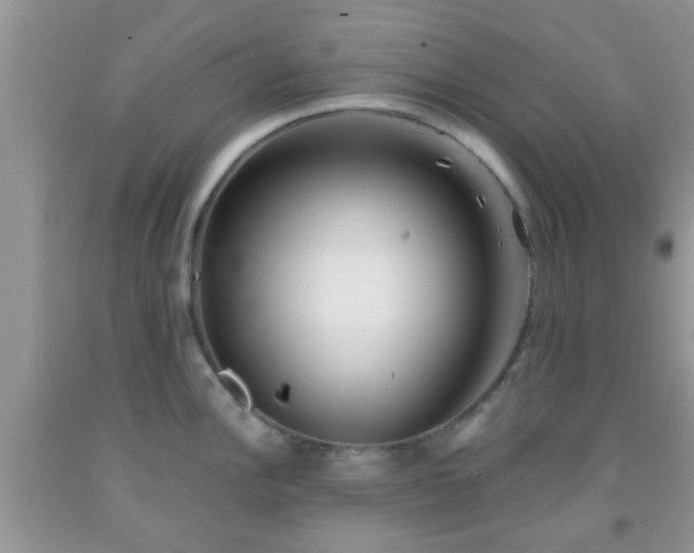 X0000092041148200709191055