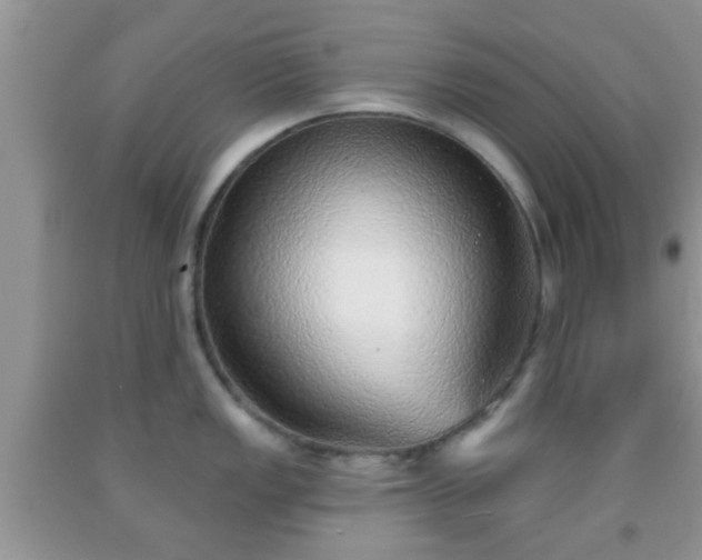 X0000092041149200709191055