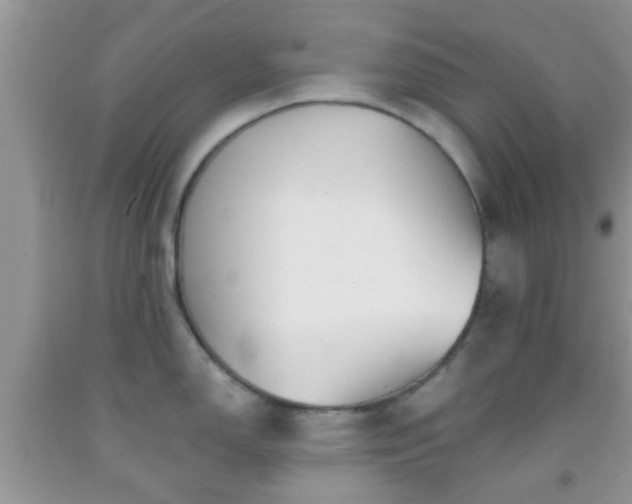 X0000092041150200709191055