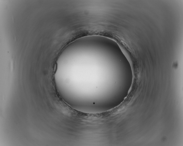 X0000092041153200709191054