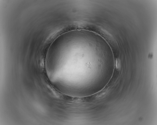 X0000092041155200709191054