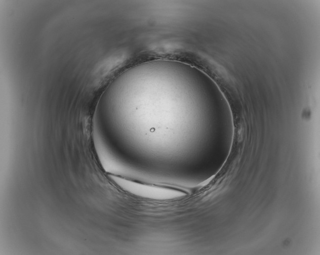 X0000092041156200709191054