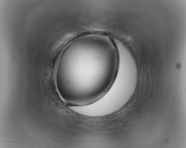 X0000092041157200709191054