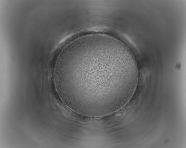 X0000092041158200709191054