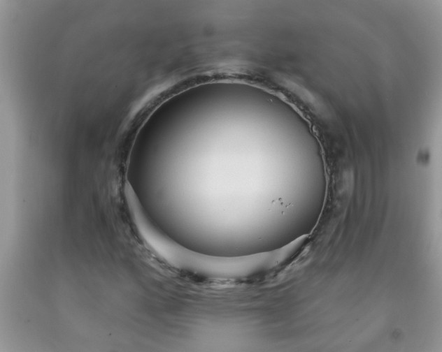 X0000092041160200709191054