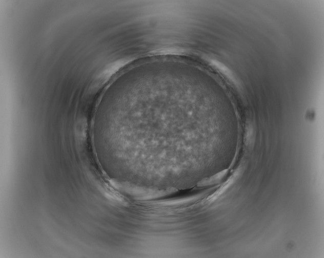 X0000092041161200709191054