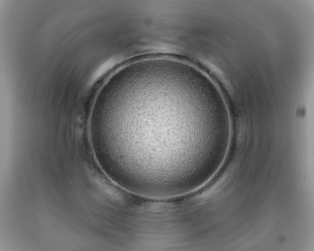 X0000092041163200709191054