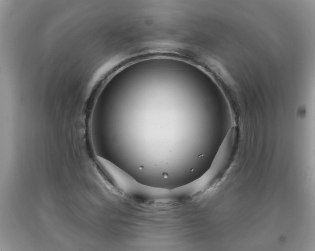 X0000092041164200709191054