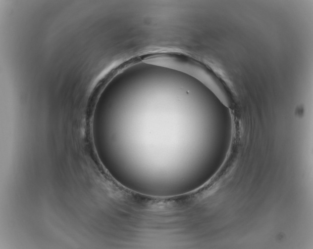 X0000092041165200709191054