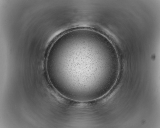 X0000092041166200709191054