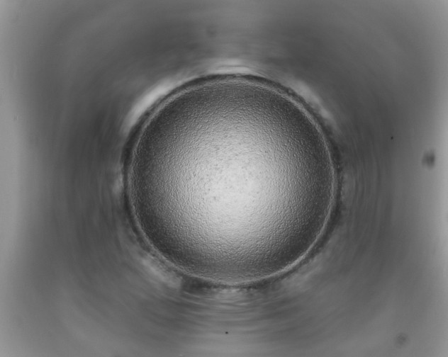 X0000092041167200709191054