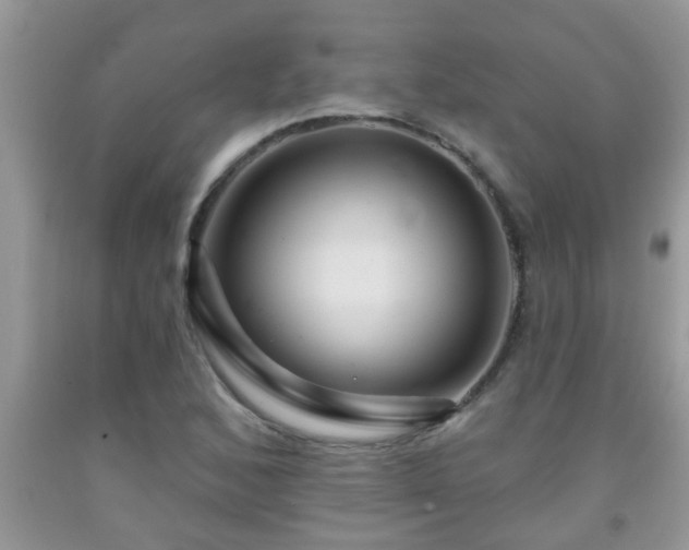 X0000092041168200709191054