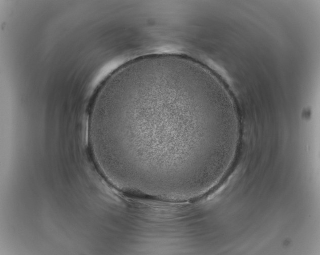 X0000092041171200709191054