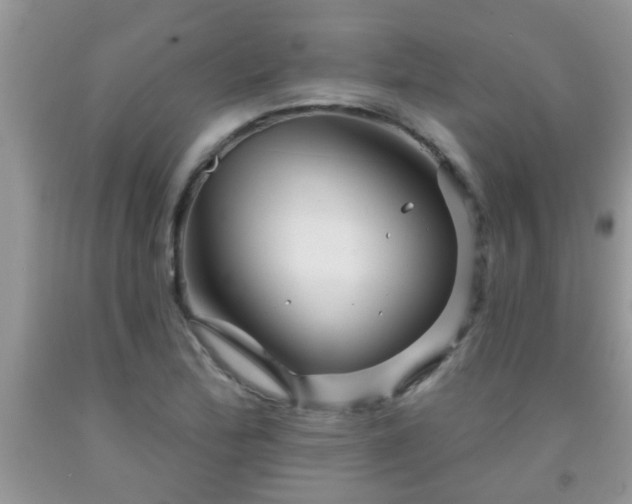 X0000092041172200709191054