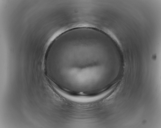 X0000092041173200709191054