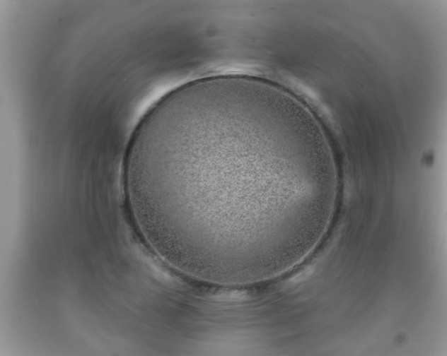 X0000092041174200709191054