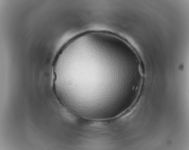 X0000092041175200709191054