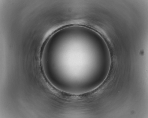 X0000092041176200709191054