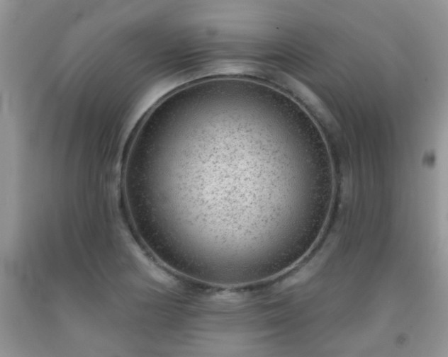 X0000092041178200709191054