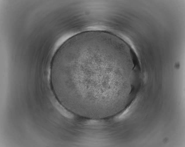 X0000092041179200709191054