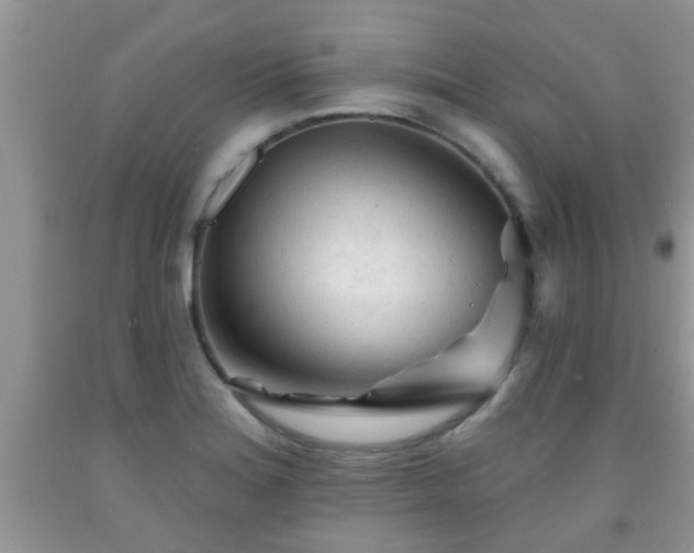 X0000092041180200709191054