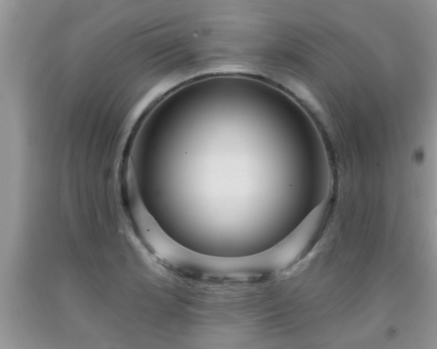 X0000092041181200709191054