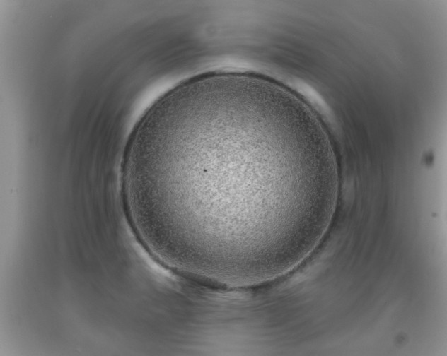 X0000092041183200709191054