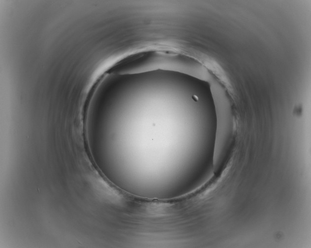 X0000092041184200709191054