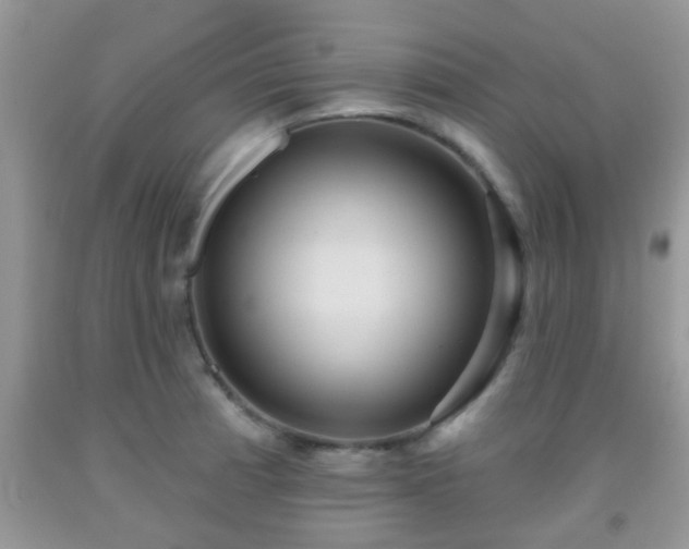 X0000092041185200709191054