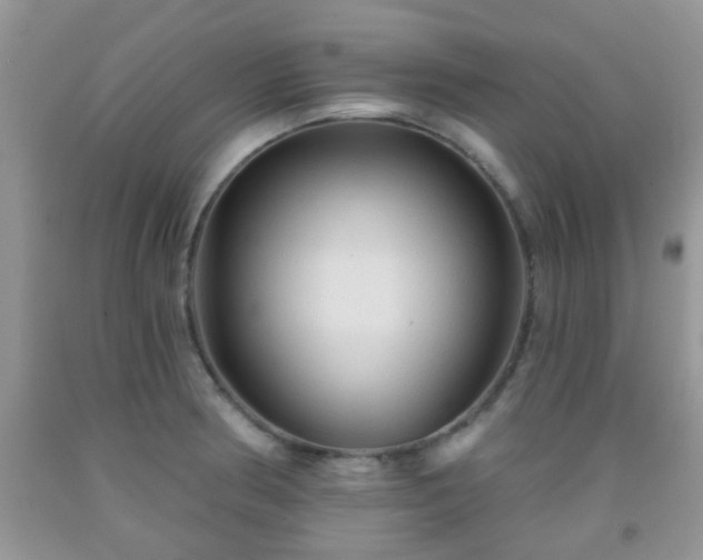 X0000092041186200709191054