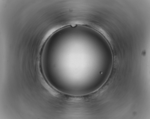 X0000092041187200709191054