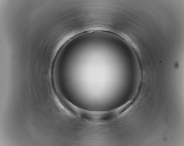 X0000092041189200709191054