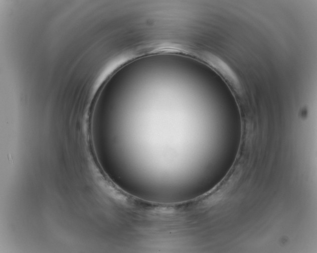 X0000092041190200709191054