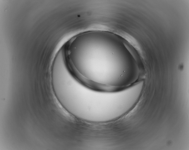 X0000092041192200709191054