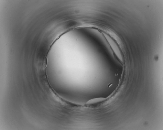 X0000092041193200709191054