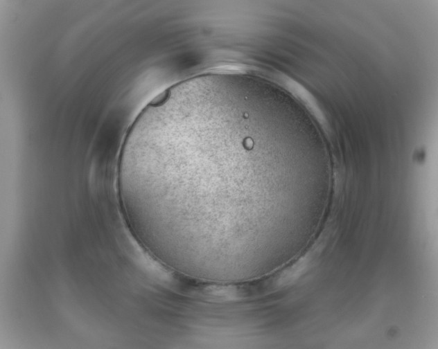 X0000092041194200709191054