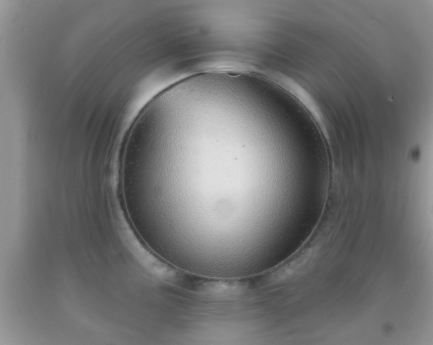 X0000092041195200709191054