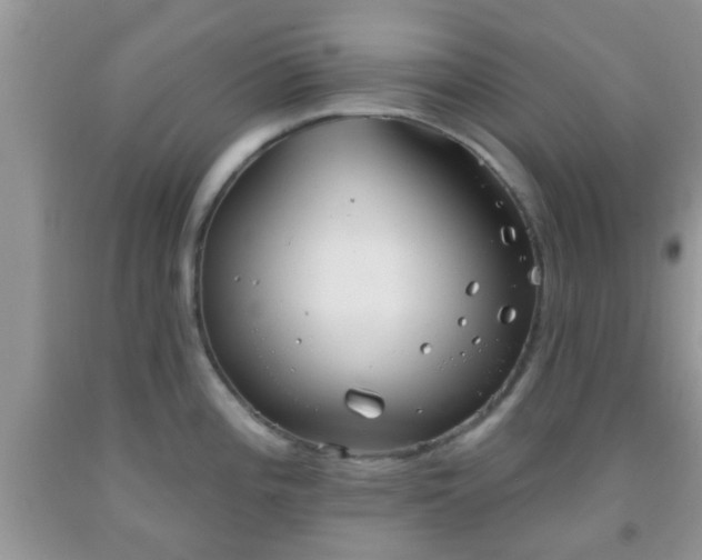 X0000092041196200709191054