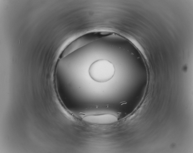 X0000092041197200709191054