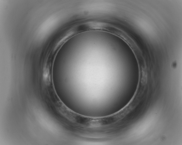 X0000092041198200709191054