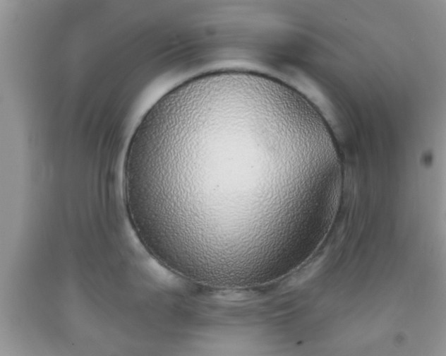 X0000092041199200709191054