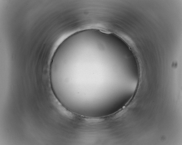 X0000092041200200709191054