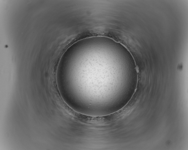 X0000092041201200709191053