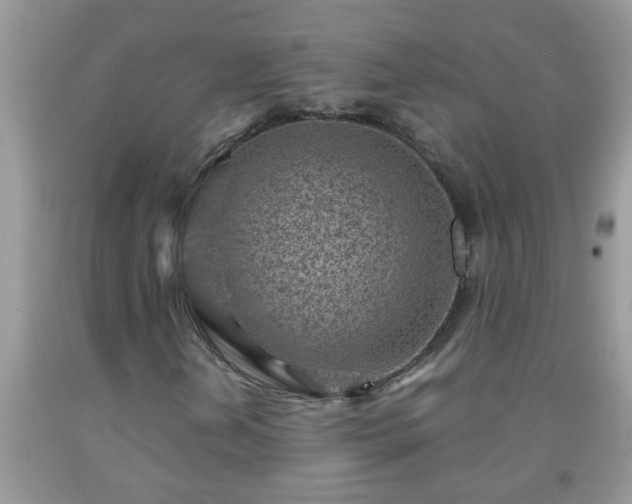 X0000092041202200709191053